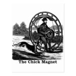 The Chick Magnet Post Card