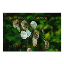 The Colour of Money Photo