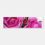 The Compassionate Friend Bumper Stickers