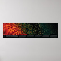 The Cosmic Web Poster