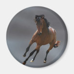 The cowboy horse called Riboking Magnets