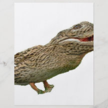 The Crocoduck Flyer