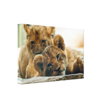 The Cubs Canvas Prints