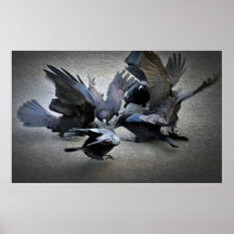 The Dance of the Crows Poster