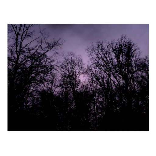 The dark forest postcard