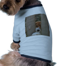 The Demon Times 3 Doggie Tee Shirt