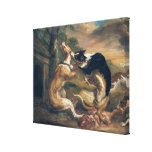 The Dog Fight, 1678 Stretched Canvas Prints