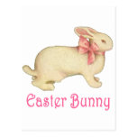 The Easter Bunny Post Card