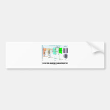 The Electron Transport Chain In Perspective Bumper Sticker