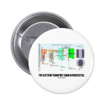 The Electron Transport Chain In Perspective Pin