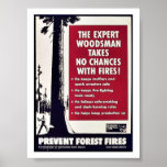 The Expert Woodsman Takes No Chances With Fires! Print
