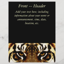 The Eyes of a Tiger Full Colour Flyer