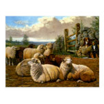 The faithful shepherds post card