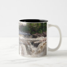 The Falls Mug