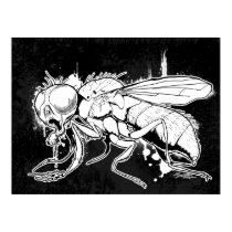 The Fly "Self-Portrait" posters