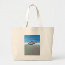 The Flying Saucer Bag