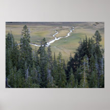 The fork print