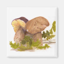 The Friendly mushrooms Magnets