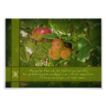 The Fruit of Your Salvation Apples 5x7 Photo