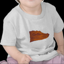 THE GATORS GLANCE t-shirts