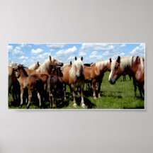 The Girls of BAR 7L Farms Posters
