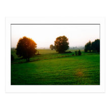 The golden hours cartes postales
