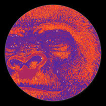 THE GORILLA 3D stickers