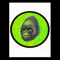 THE GORILLAS TERRITORY postcards