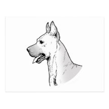 THE GREAT DANE POSTCARD