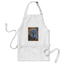 The Great Grey Owl Strix Nebulosa Lapland Owl Apron