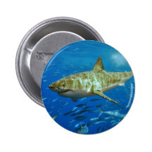 The Great White Shark Carcharodon Carcharias Buttons