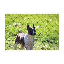 The grounds Keeper Stretched Canvas Print