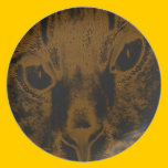 THE HALLOWEEN CAT plates
