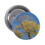 The Heavens Declare Button