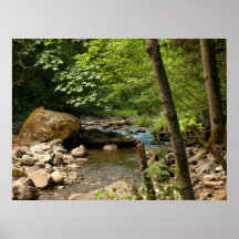 The Hiding Place Print