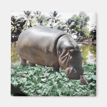 The Hippo And The Bird Magnet