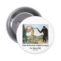 The Hoolock Gibbon (1835) by Aloys Zotl Pinback Buttons