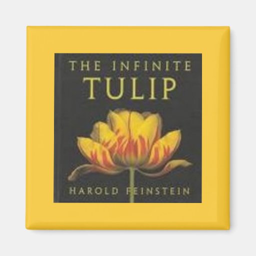 The Infinite Tulip Magnets