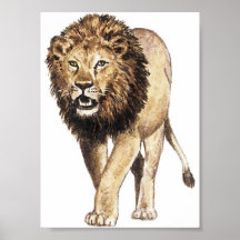 The King of The Jungle Poster