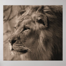 The King Posters