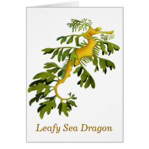 The Leafy Sea Dragon Seahorse Card