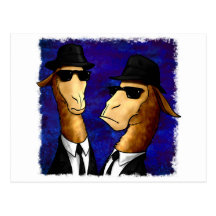 The LLama Brothers Postcard