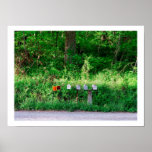 The Mailboxes Print