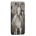 The Mares at Liberty Motorola Droid RAZR Case