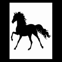 THE MIDNIGHT HORSE postcards