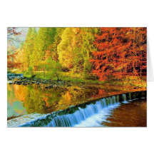 THE MIRACLE OF AUTUMN GREETING CARDS