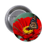 The Monarch Pinback Buttons