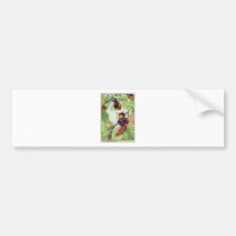 The Mulberry  Fairy Bumper Stickers