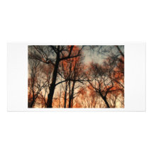 The Mythical Forest of Tellervo Customized Photo Card