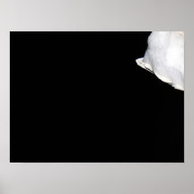 The Nipple Poster